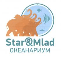 STARMLAD STAR MLAD STAR@MLAD STAR&MLAD ОКЕАНАРИУМОКЕАНАРИУМ