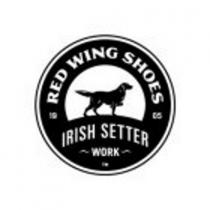 RED WING SHOES IRISH SETTER WORK TM 19 0505