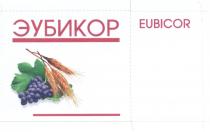 ЭУБИКОР EUBICOREUBICOR