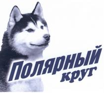 ПОЛЯРНЫЙ КРУГКРУГ