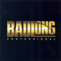 BAULONG BAU LONG BAUL BAULONG PROFESSIONALPROFESSIONAL