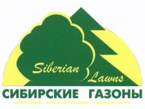 СИБИРСКИЕ ГАЗОНЫ SIBERIAN LAWNS ОЗЕЛЕНЕНИЕ ГАЗОНЫ В РУЛОНАХ САДОВЫЙ ЦЕНТРЦЕНТР