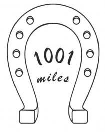 1001 MILESMILES