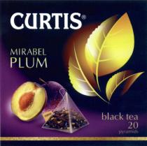 CURTIS MIRABEL CURTIS MIRABEL PLUM BLACK TEATEA