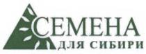 СЕМЕНА ДЛЯ СИБИРИСИБИРИ