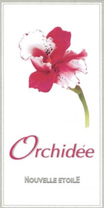 ORCHIDEE NOUVELLE ETOILEETOILE