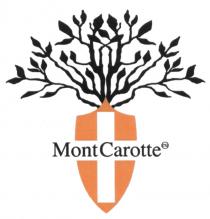 CAROTTE MONTCAROTTE MONT CAROTTE MONTCAROTTE