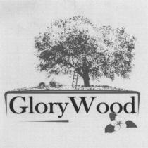 GLORY WOOD GLORYWOOD CIDERCIDER