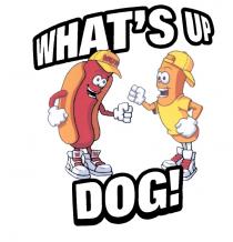 WUD WHAT WUD WHATS UP DOGWHAT'S DOG