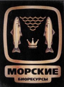 МОРСКИЕ БИОРЕСУРСЫБИОРЕСУРСЫ