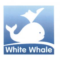 WHITE WHALEWHALE