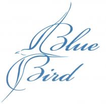 BLUE BIRDBIRD