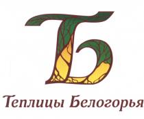 БЕЛОГОРЬЯ ТБ ТЕПЛИЦЫ БЕЛОГОРЬЯ