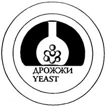 YEAST ДРОЖЖИ