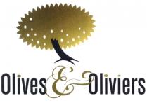 OLIVES E OLIVIERSOLIVIERS