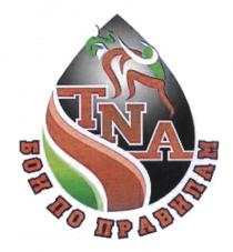 TNA БОИ ПО ПРАВИЛАМПРАВИЛАМ