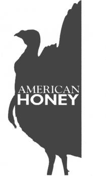 AMERICANHONEY AMERICAN AMERICAN HONEYHONEY