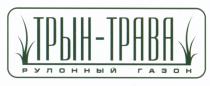 ТРЫНТРАВА ТРЫН - ТРАВА РУЛОННЫЙ ГАЗОНГАЗОН