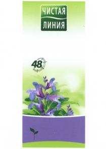 ЧИСТАЯ ЛИНИЯ 4848