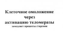 ТЕЛОМЕРАЗЫ КЛЕТОЧНОЕ ОМОЛОЖЕНИЕ ЧЕРЕЗ АКТИВАЦИЮ ТЕЛОМЕРАЗЫ ЗАМЕДЛЯЕТ ПРОЦЕССЫ СТАРЕНИЯСТАРЕНИЯ