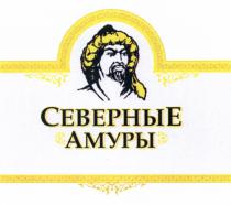 СЕВЕРНЫЕ АМУРЫАМУРЫ