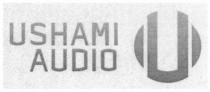 USHAMI USHAMI AUDIO