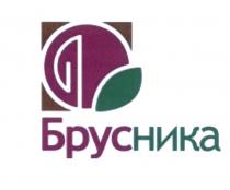 БРУС НИКА БРУСНИКАБРУСНИКА