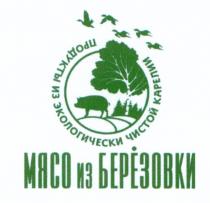 БЕРЕЗОВКИ МЯСО ИЗ БЕРЁЗОВКИ ПРОДУКТЫ ИЗ ЭКОЛОГИЧЕСКИ ЧИСТОЙ КАРЕЛИИБЕРEЗОВКИ КАРЕЛИИ