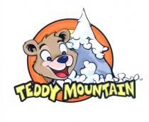 TEDDY TEDDY MOUNTAINMOUNTAIN