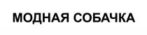 МОДНАЯ СОБАЧКА