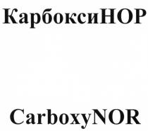 КАРБОКСИНОР КАРБОКСИ CARBOXYNOR CARBOXY КАРБОКСИ НОР CARBOXY NOR КАРБОКСИНОР CARBOXYNOR