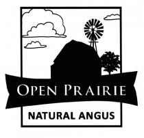 PRAIRIE ANGUS OPEN PRAIRIE NATURAL ANGUS