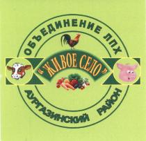 АУРГАЗИНСКИЙ ЖИВОЕ СЕЛО ОБЪЕДИНЕНИЕ ЛПХ АУРГАЗИНСКИЙ РАЙОНРАЙОН