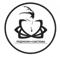 РЕДУКСИН РЕДУКСИН - СИСТЕМАСИСТЕМА