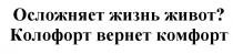 КОЛОФОРТ ВЕРНЁТ ОСЛОЖНЯЕТ ЖИЗНЬ ЖИВОТ КОЛОФОРТ ВЕРНЕТ КОМФОРТВЕРНEТ КОМФОРТ