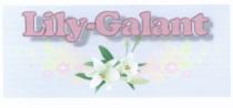 LILYGALANT LILY - GALANTGALANT