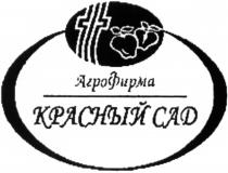 КРАСНЫЙ САД АГРОФИРМААГРОФИРМА