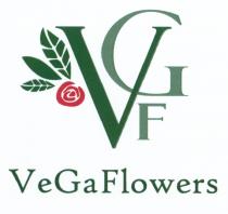 VEGAFLOWERS VEGA GAFLOWERS GF VEGA VE GA FLOWERS VGF VEGAFLOWERS