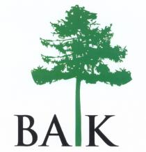 BAIK BAK BAK ВАК BAIK