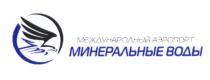 МЕЖДУНАРОДНЫЙ АЭРОПОРТ МИНЕРАЛЬНЫЕ ВОДЫВОДЫ