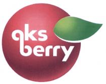 AKS AKSBERRY AKS BERRYBERRY