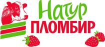 НАТУРПЛОМБИР НАТУР ПЛОМБИРПЛОМБИР