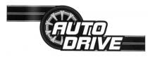 AUTODRIVE AVTODRIVE AUTO DRIVEDRIVE