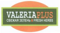 VALERIAPLUS VALERIA VALERIA PLUS VALERIAPLUS СВЕЖАЯ ЗЕЛЕНЬ FRESH HERBSHERBS