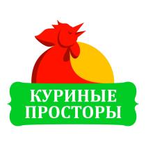 КУРИНЫЕ ПРОСТОРЫПРОСТОРЫ