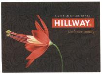 HILLWAY HILLWAY FINEST SELECTION OF TEA EXCLUSIVE QUALITYQUALITY