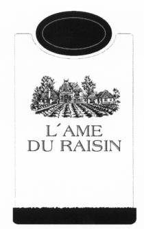 RAISIN AME LAME DU RAISINL'AME