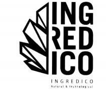 INGREDICO INGRED REDICO ING ICO ING RED ICO INGREDICO NATURAL & TECHNOLOGICALTECHNOLOGICAL