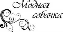 МОДНАЯ СОБАЧКА