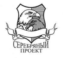 СЕРЕБРЯНЫЙ ПРОЕКТПРОЕКТ